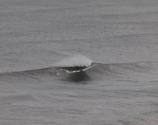 ahhh.. XXXXX.. it''s on the East coast though!!